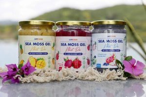 Rong sụn làm Sea Moss Gel- Thực phẩm tự nhiên giàu dinh dưỡng